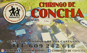 CHIRINGO DE CONCHA